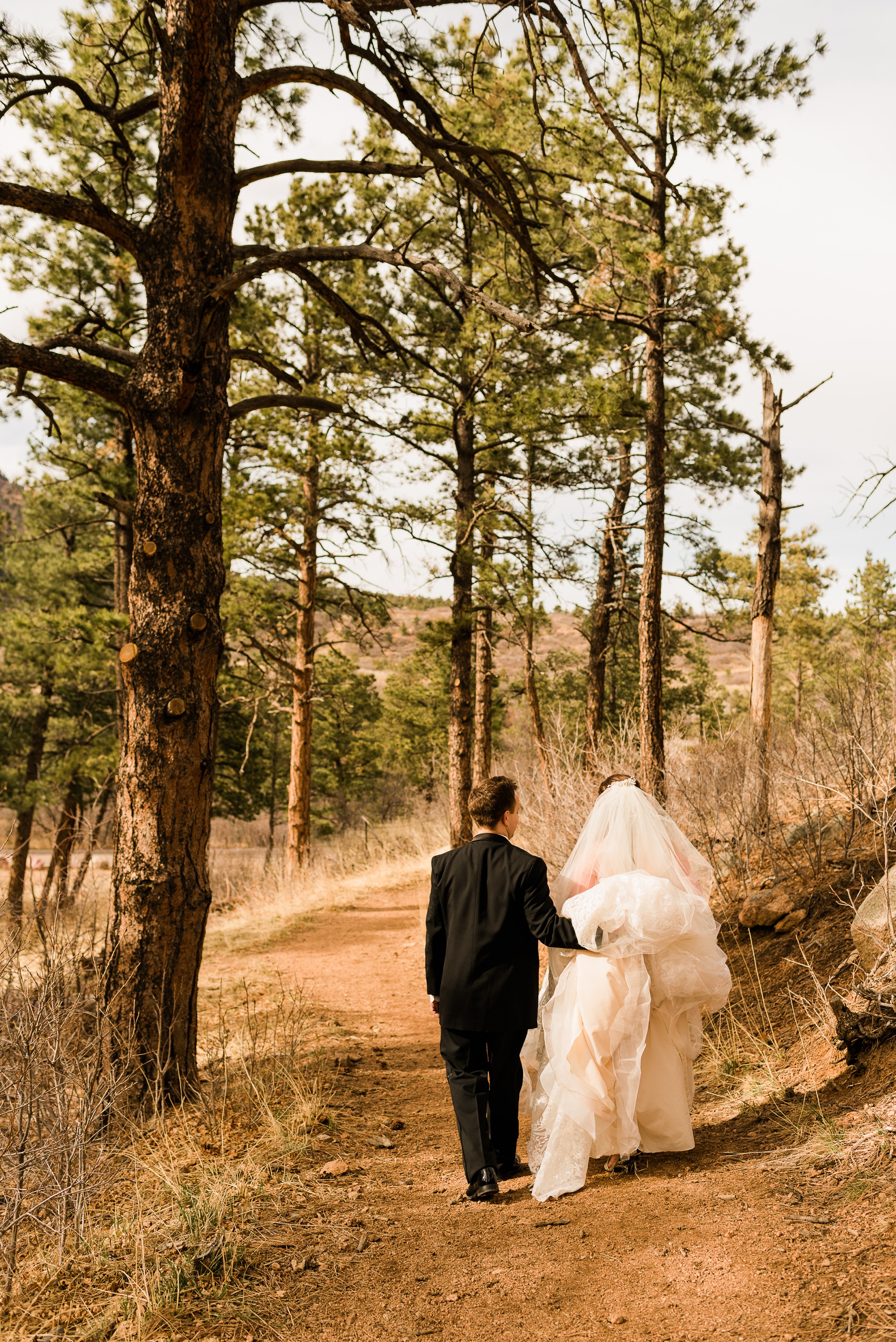 Colorado Springs Mountain Wedding