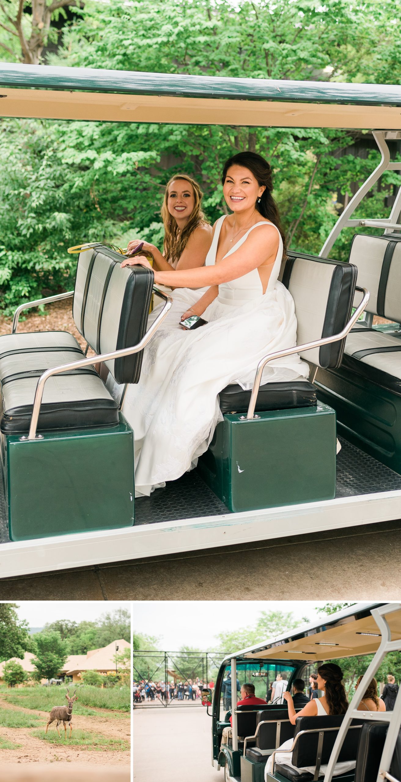 Bride riding tram at Omaha Zoo