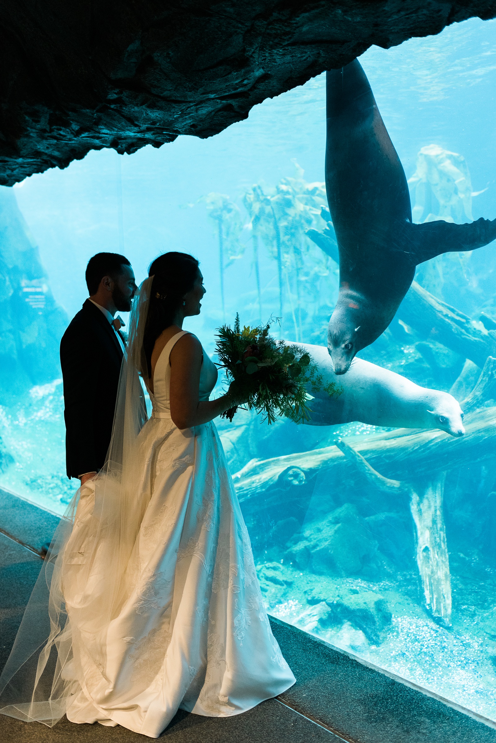 Bride and Groom watching Sea Lions.