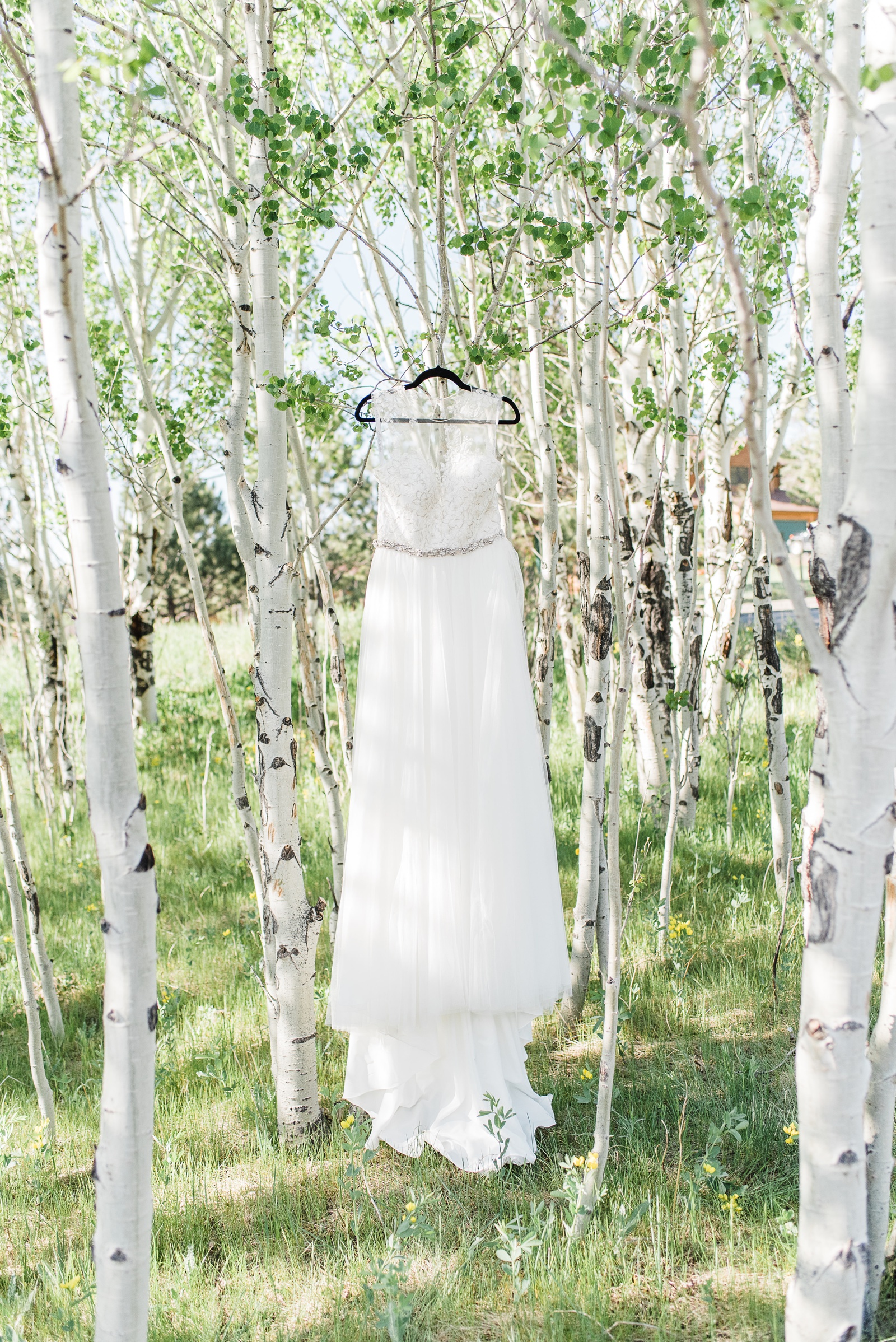 Wedding dress hanging in Aspen trees